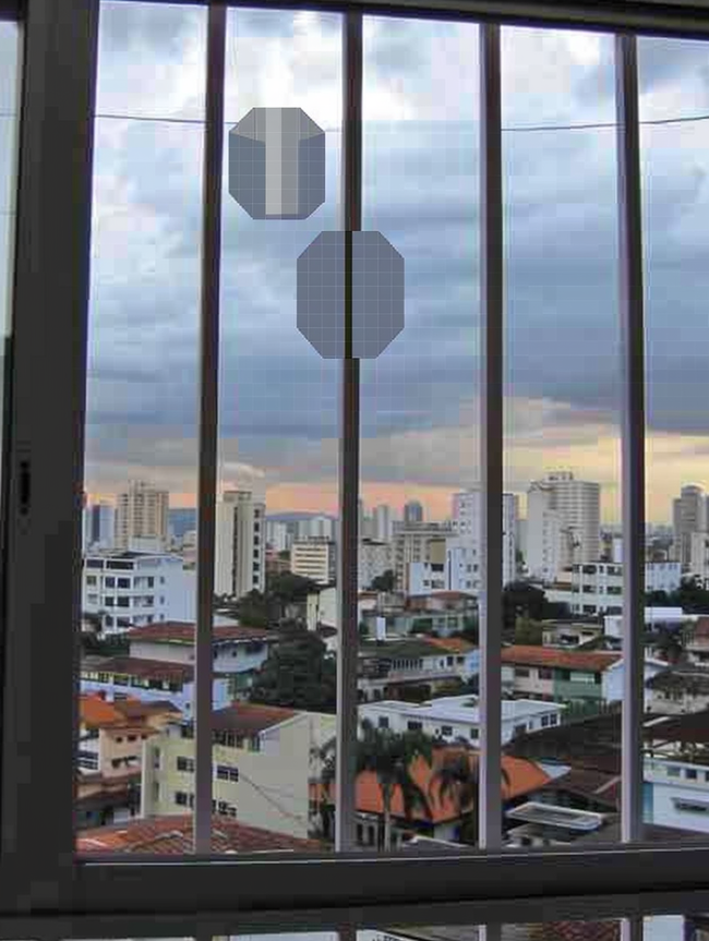 Imagem da obra VP24051505