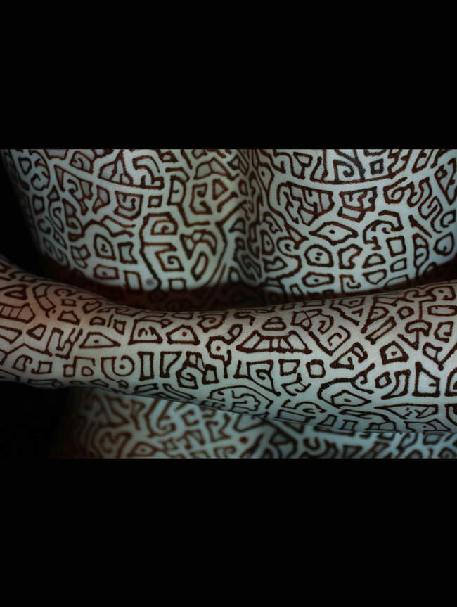 Imagem da obra VP24052506