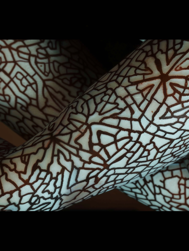 Imagem da obra VP24052214